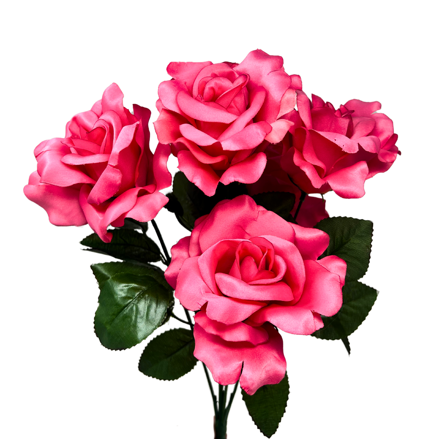 Open Rose Bush x 5 - Hot Pink 19" | CZE