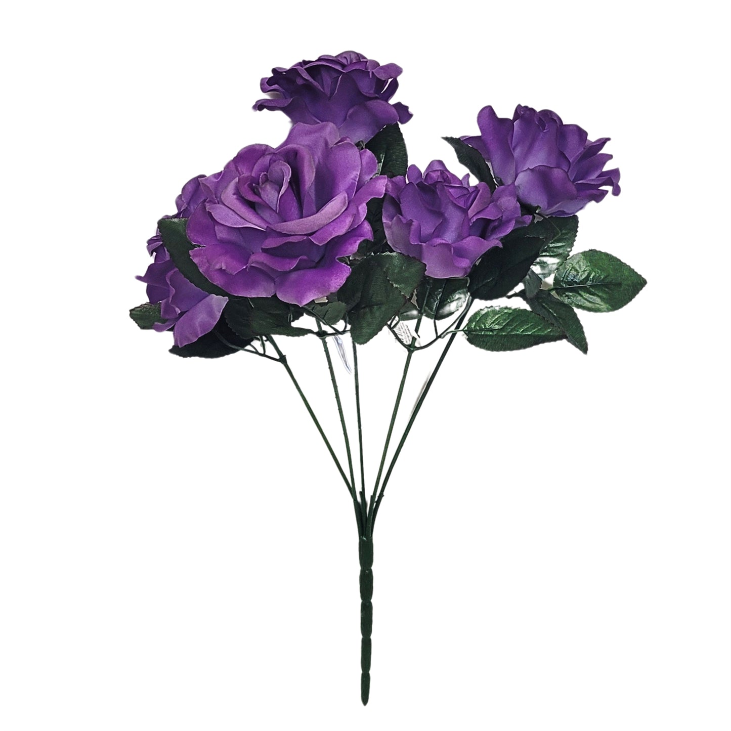 Open Rose Bush x 5 - Purple 19" | CZE