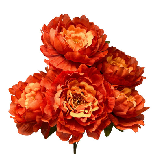 Peony Bush x7 Copper - 18" | CZ