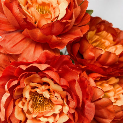 Peony Bush x7 Copper - 18"