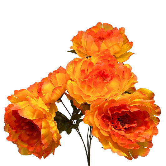 Peony Bush x7 Orange - 18" | CZ