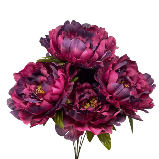 Peony Bush x7 - Purple 18" | CZ