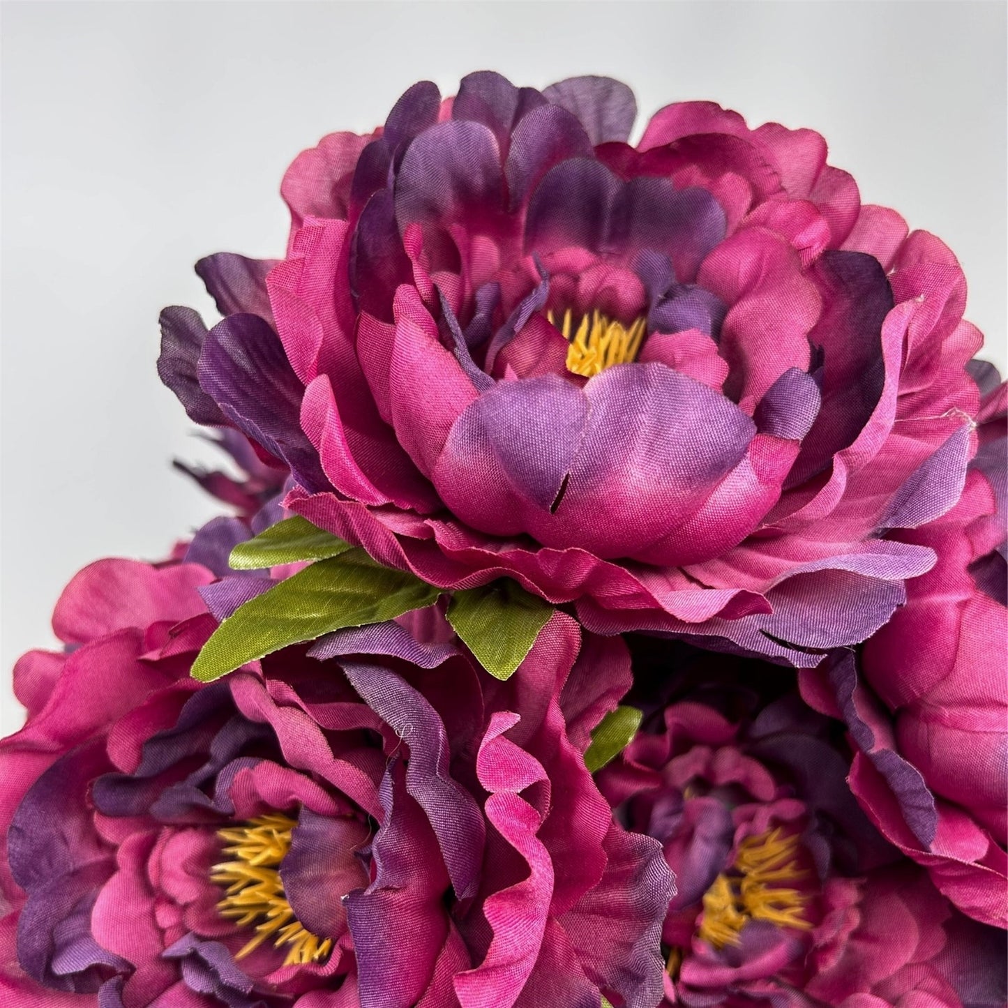 Peony Bush x7 - Purple 18"