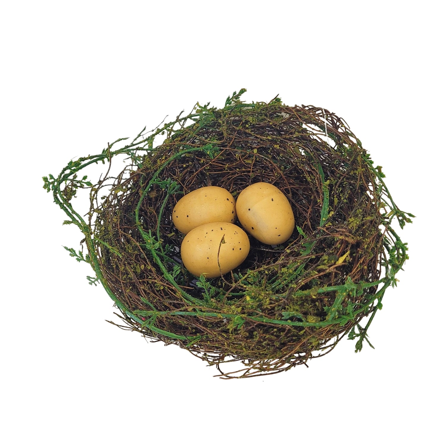 Cypress Grove Bird's Nest 6” | QPE