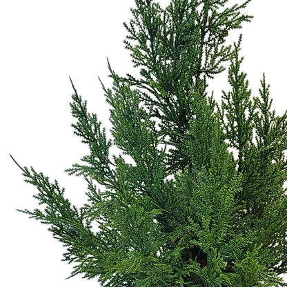 Fresh Touch Cedar Tree in Plastic Pot 21” | YS