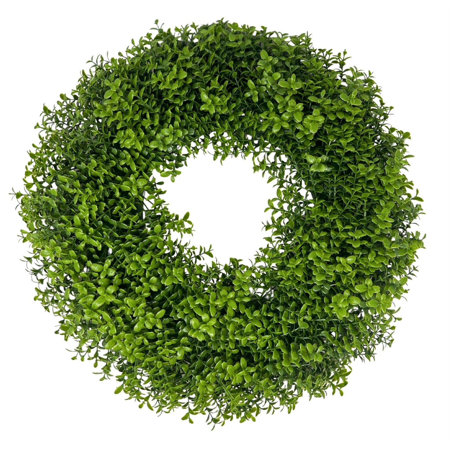 European Boxwood Wreath 18" | QP