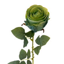 Load image into Gallery viewer, Garden Rose Stem Aqua | YSE