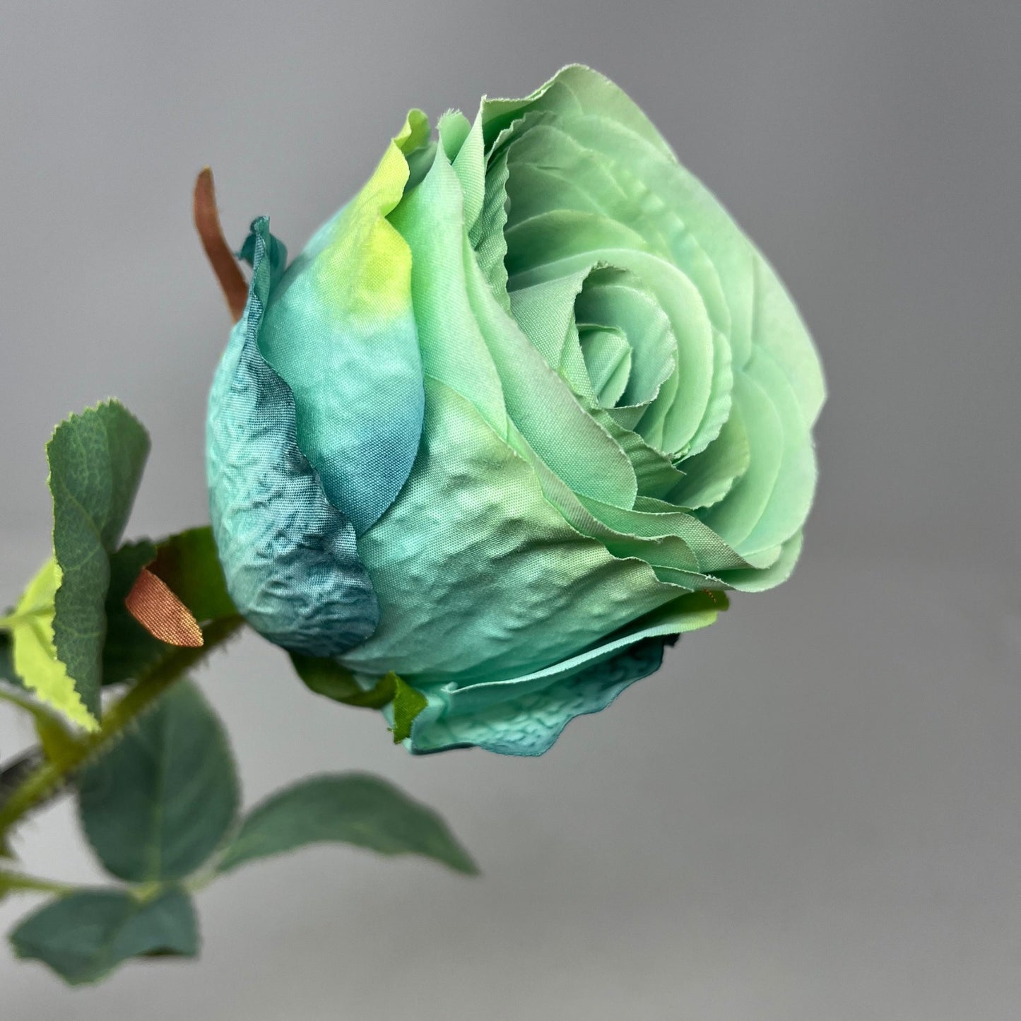 Garden Rose Stem Aqua | YSE