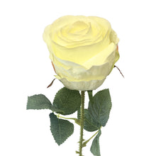Load image into Gallery viewer, Garden Rose Stem Cream | YSE23
