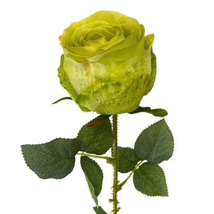 Garden Rose Stem Green | YSE