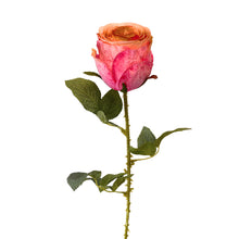 Load image into Gallery viewer, Garden Rose Stem Pink/Coral | YSE23
