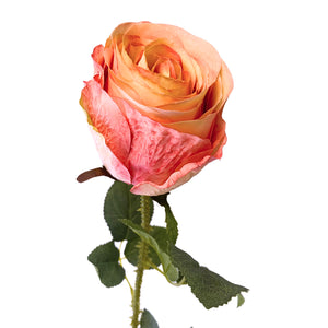 Garden Rose Stem Pink/Yellow | YSE