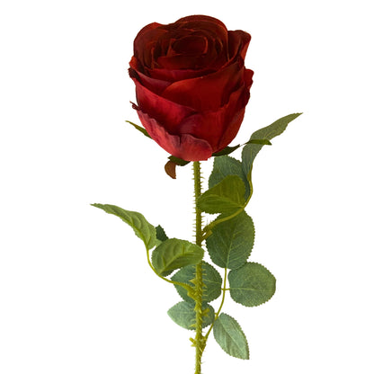 Garden Rose Stem Red | YSE