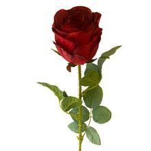 Load image into Gallery viewer, Garden Rose Stem Red | YSE