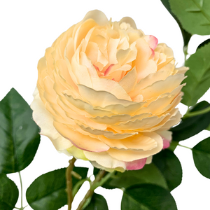 28" Cabbage Rose Spray X 3 -Champagne | YSE