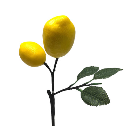 Faux Lemon Branch | YS