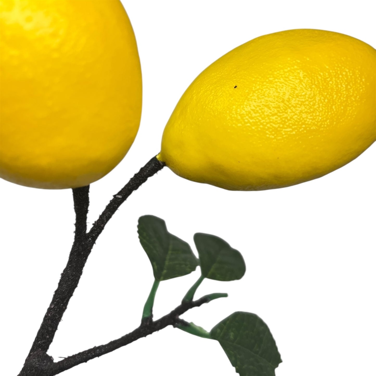 Faux Lemon Branch | YS