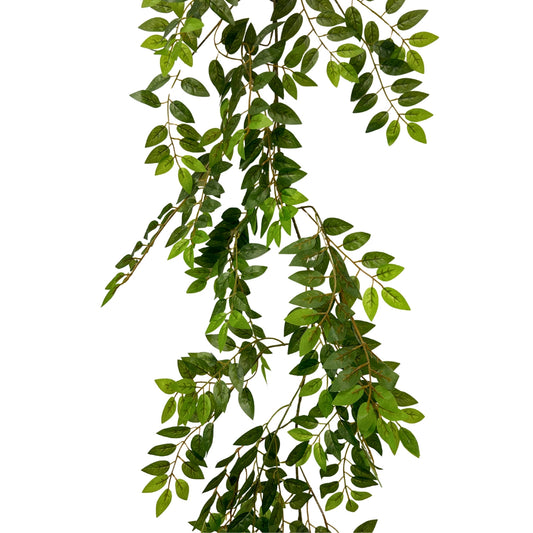 Smilax Leaves Garland 80" | GTE