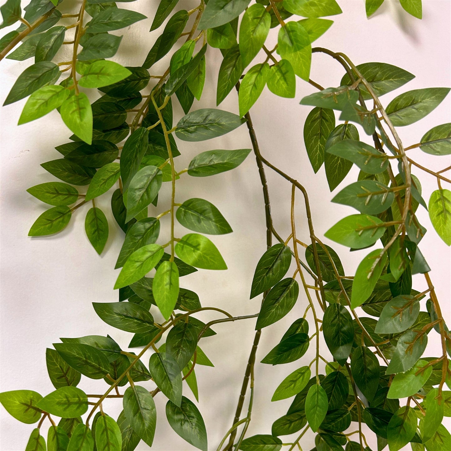 Smilax Leaves Garland 80" | GTE