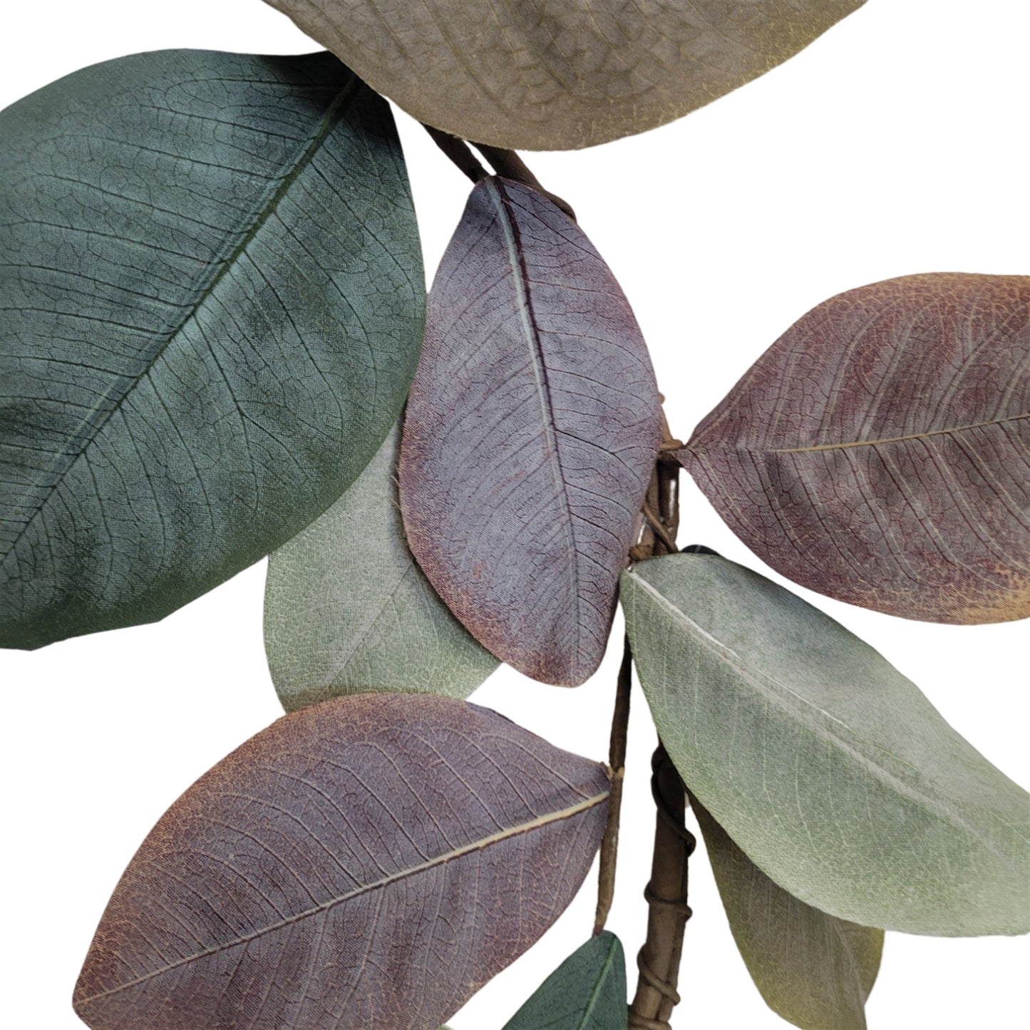 Cypress Hills Magnolia Garland 60" | QP