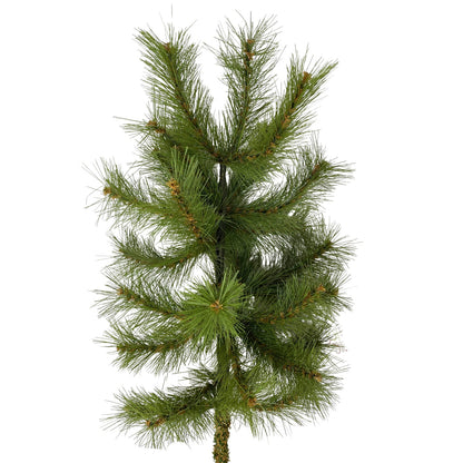 24" Grand Spruce Spray | HT