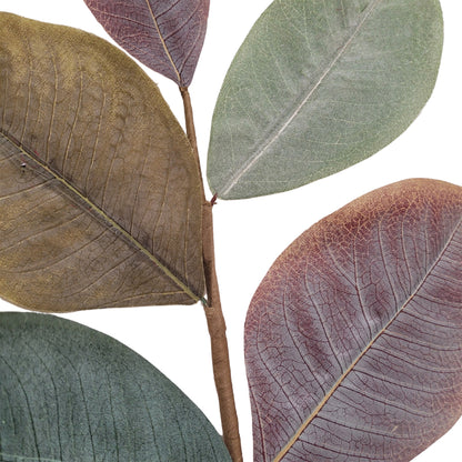 Cypress Hills Magnolia Pick 19'' | QP