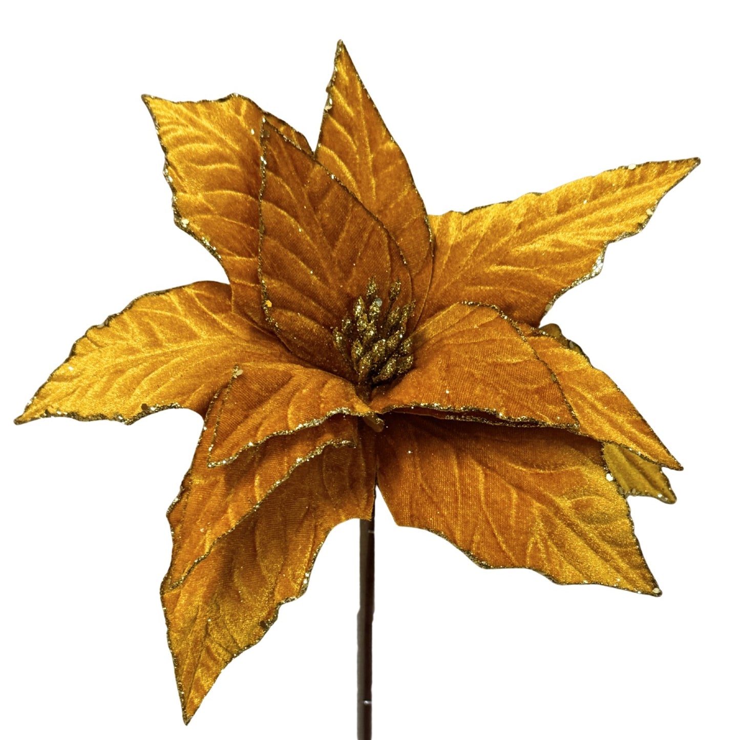 Butterscotch Velvet Poinsettia H:14" Dia:12" | DB