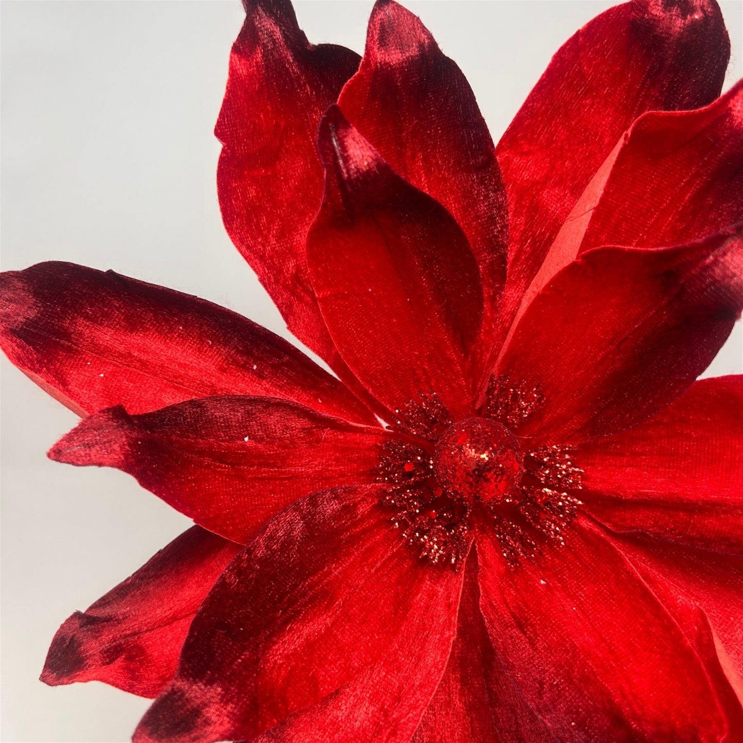 Lux Two Tone Deep Red Velvet Magnolia H:15" Dia: 11" | DB