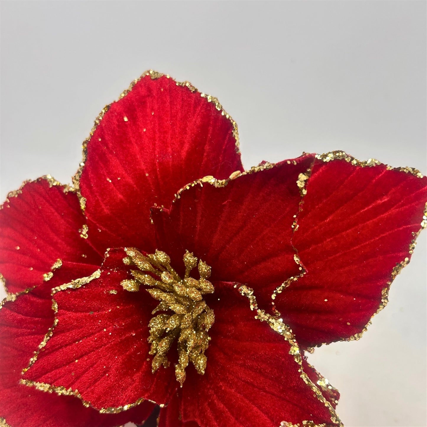 Royal Red Velvet Poinsettia Pick w/ Gold H:16"" Dia:10" | DB