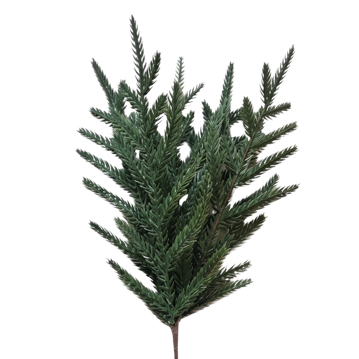 Fresh Touch Norfolk Pine Pick 14" | DB