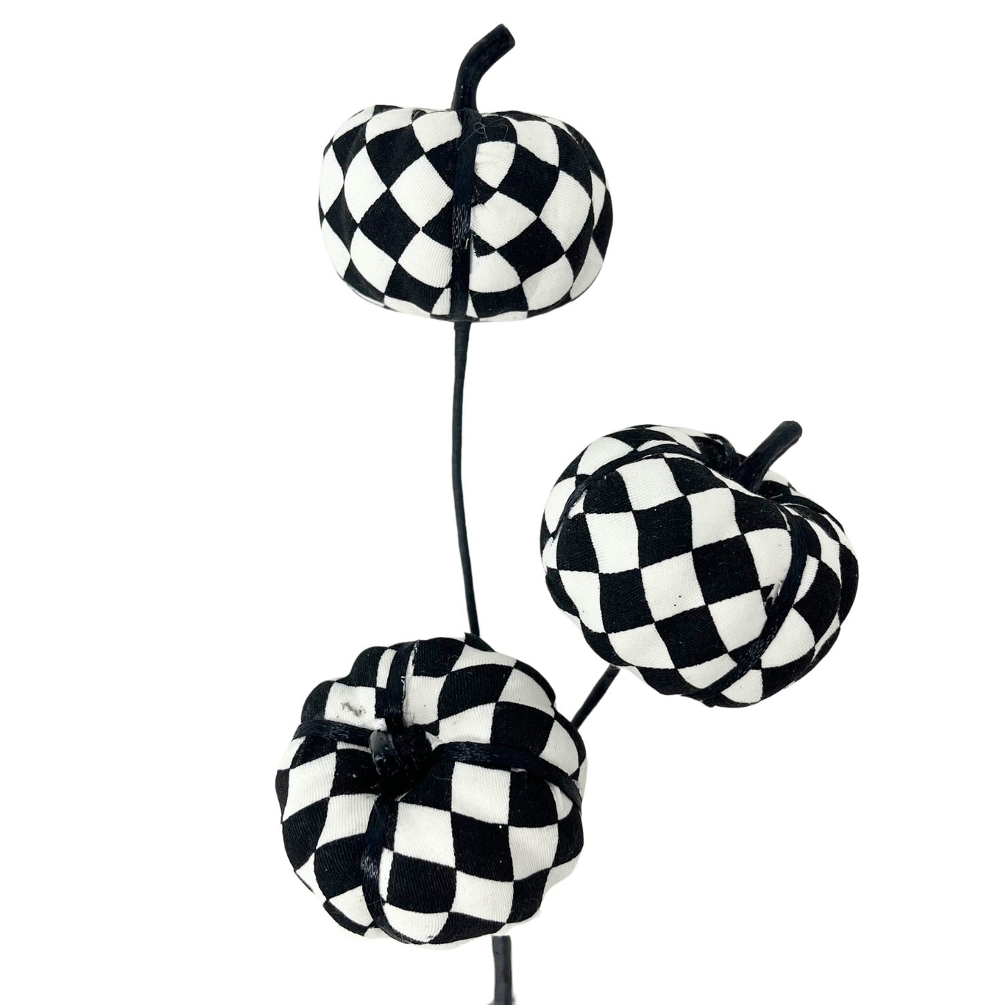 Harlequin Pumpkin Pick x 3 - 12" | QP
