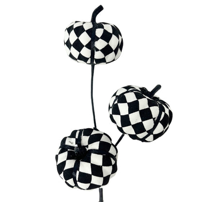 Harlequin Pumpkin Pick x 3 - 12" | QP