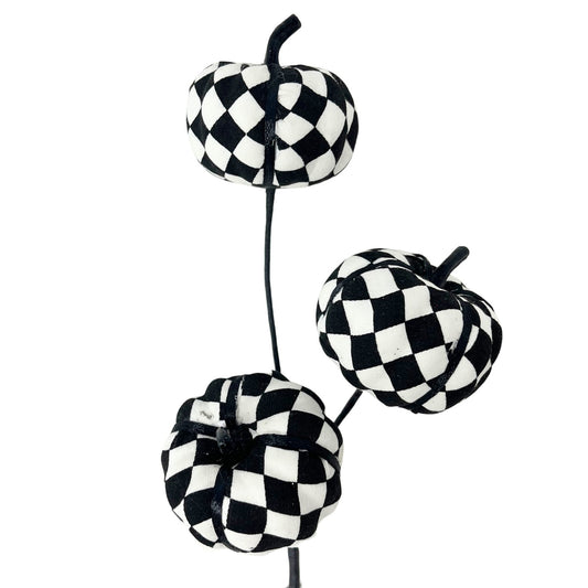 Harlequin Pumpkin Pick x 3 - 12" | QP