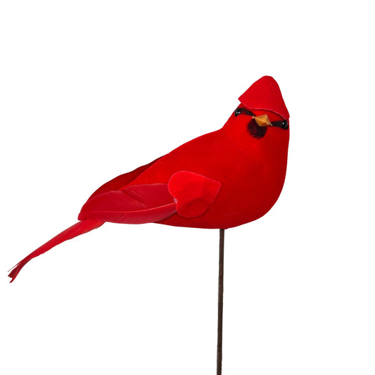 Cardinal on Stem 10" | QP