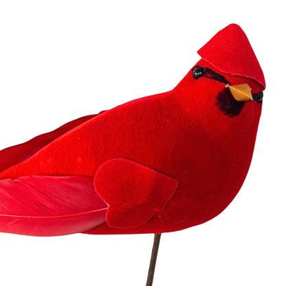 Cardinal on Stem 10" | QP