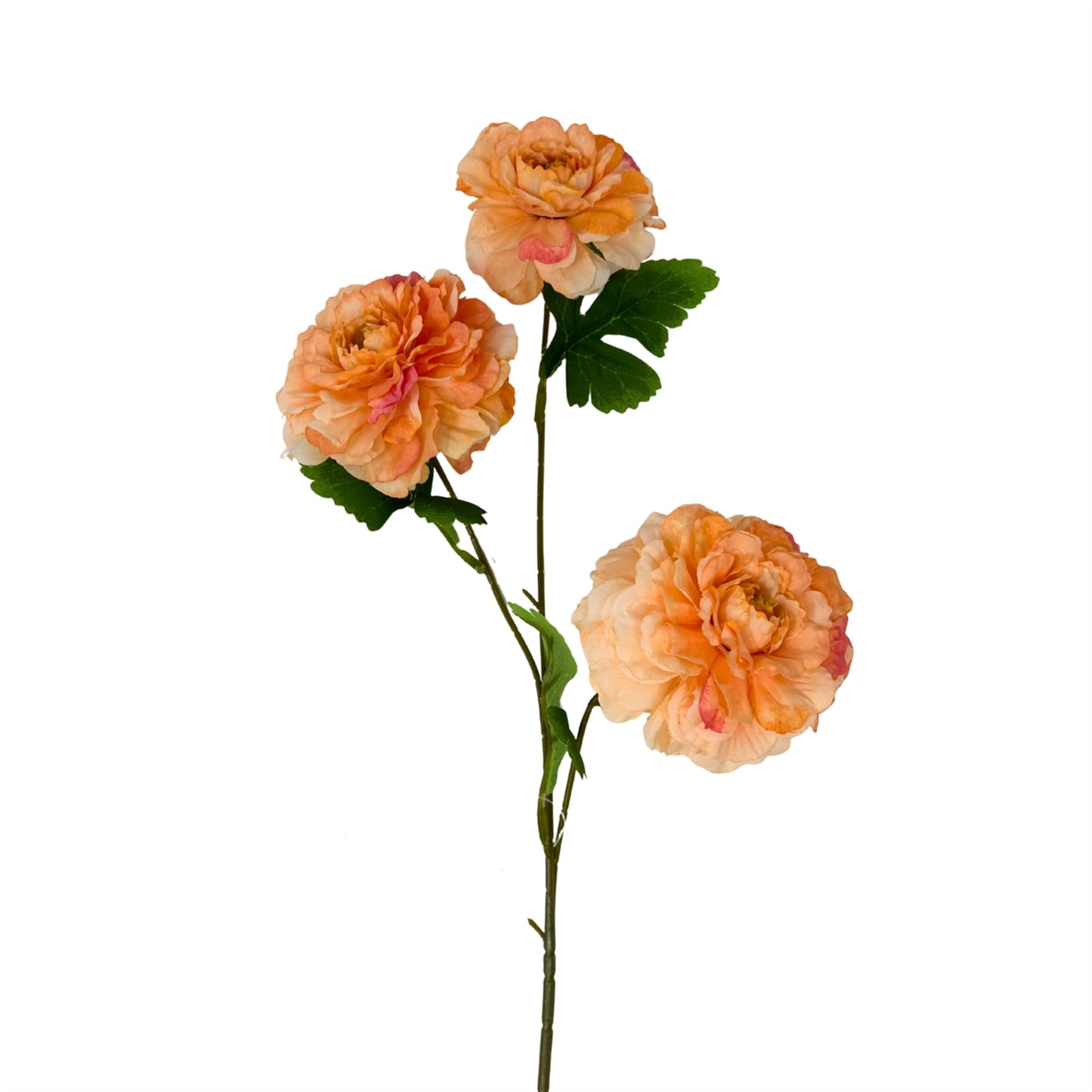 French Marigold Spray X 3 25" - Apricot