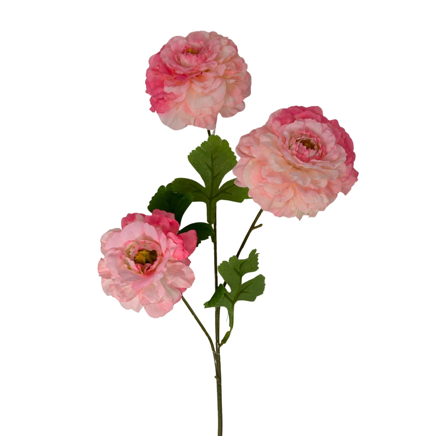 French Marigold Spray X 3 25" - Pink/Beauty
