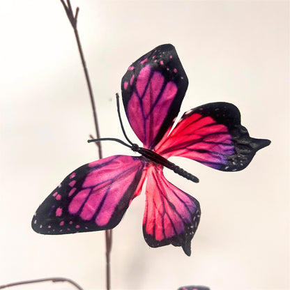 Butterfly Spray x7 Purple/Pink - 42" | GTE