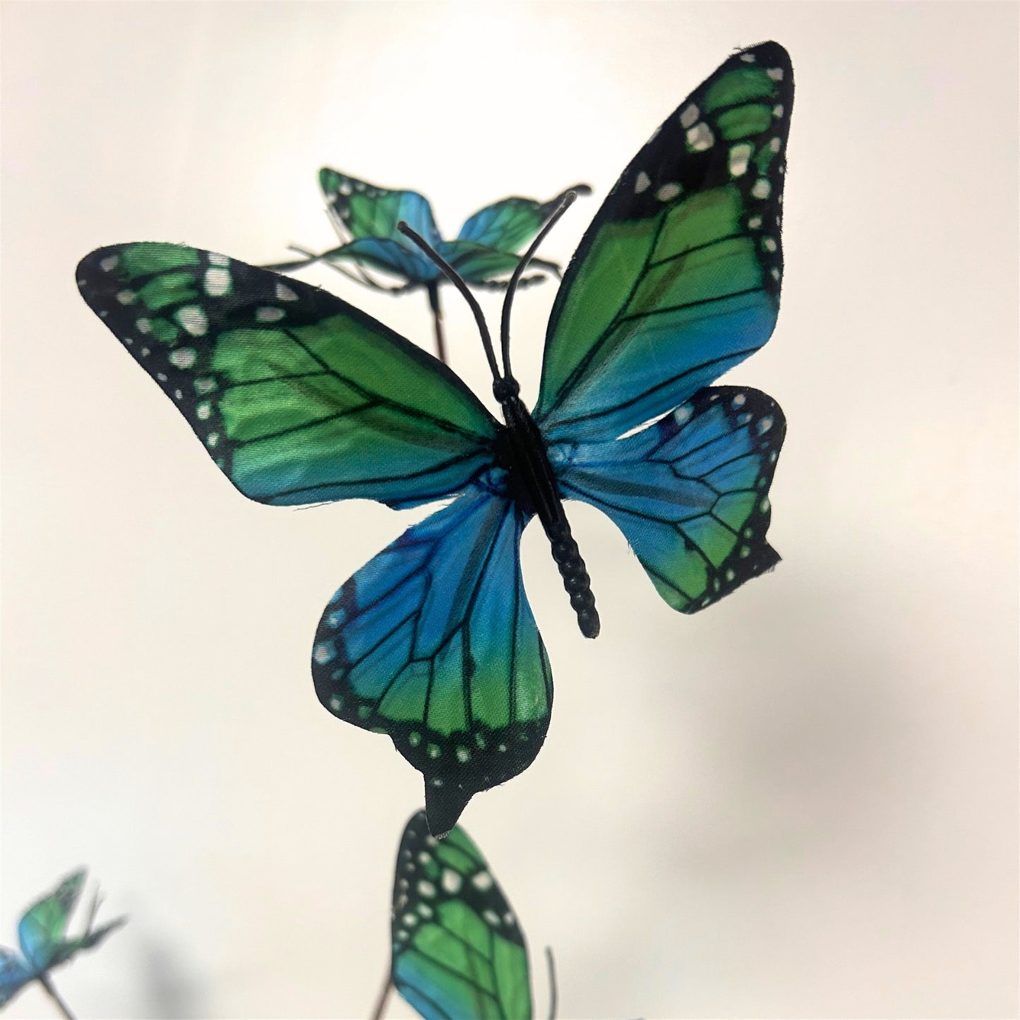 Butterfly Spray x7 Teal Blue - 42" | GTE