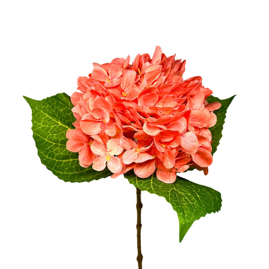 Full Garden Hydrangea Stem 21" - Sherbet | GTE