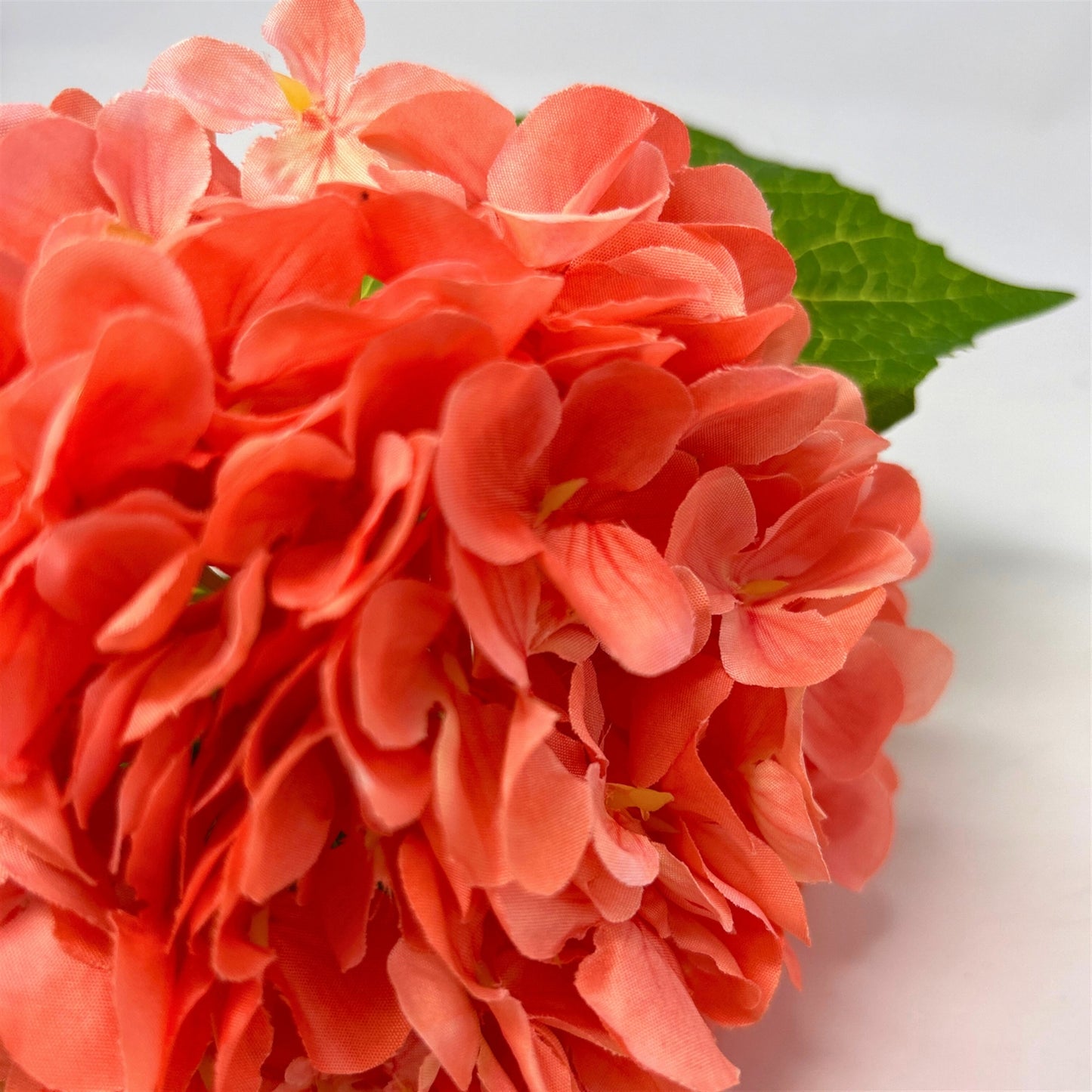 Full Garden Hydrangea Stem 21" - Sherbet | GTE