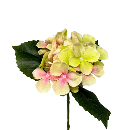 Petite Garden Hydrangea 13" - Green/Pink | GTE