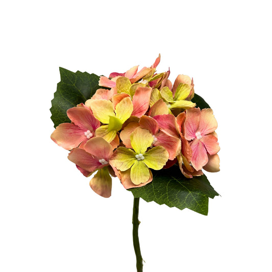 Petite Garden Hydrangea 13" - Pink/Green | GTE