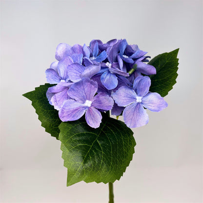 Petite Garden Hydrangea 13" - Purple | GTE
