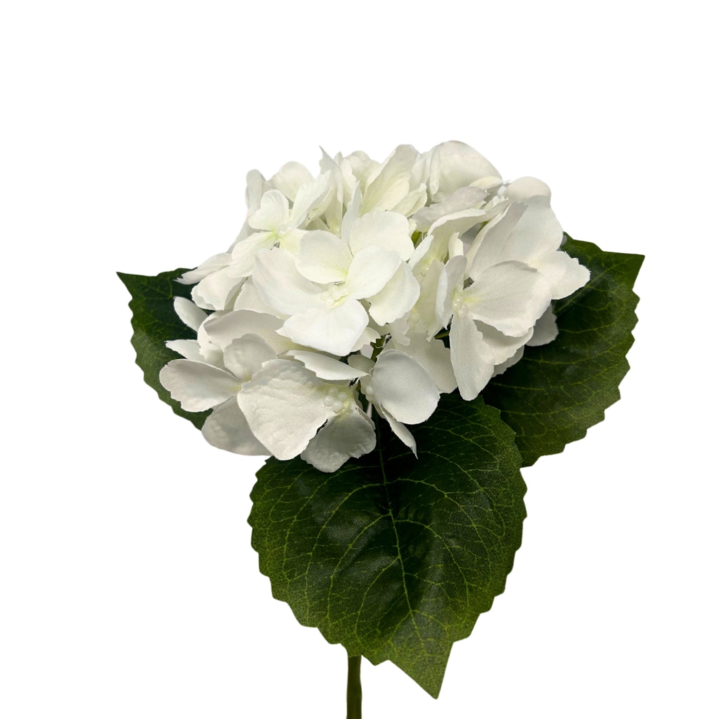 Petite Garden Hydrangea 13" - White | GTE
