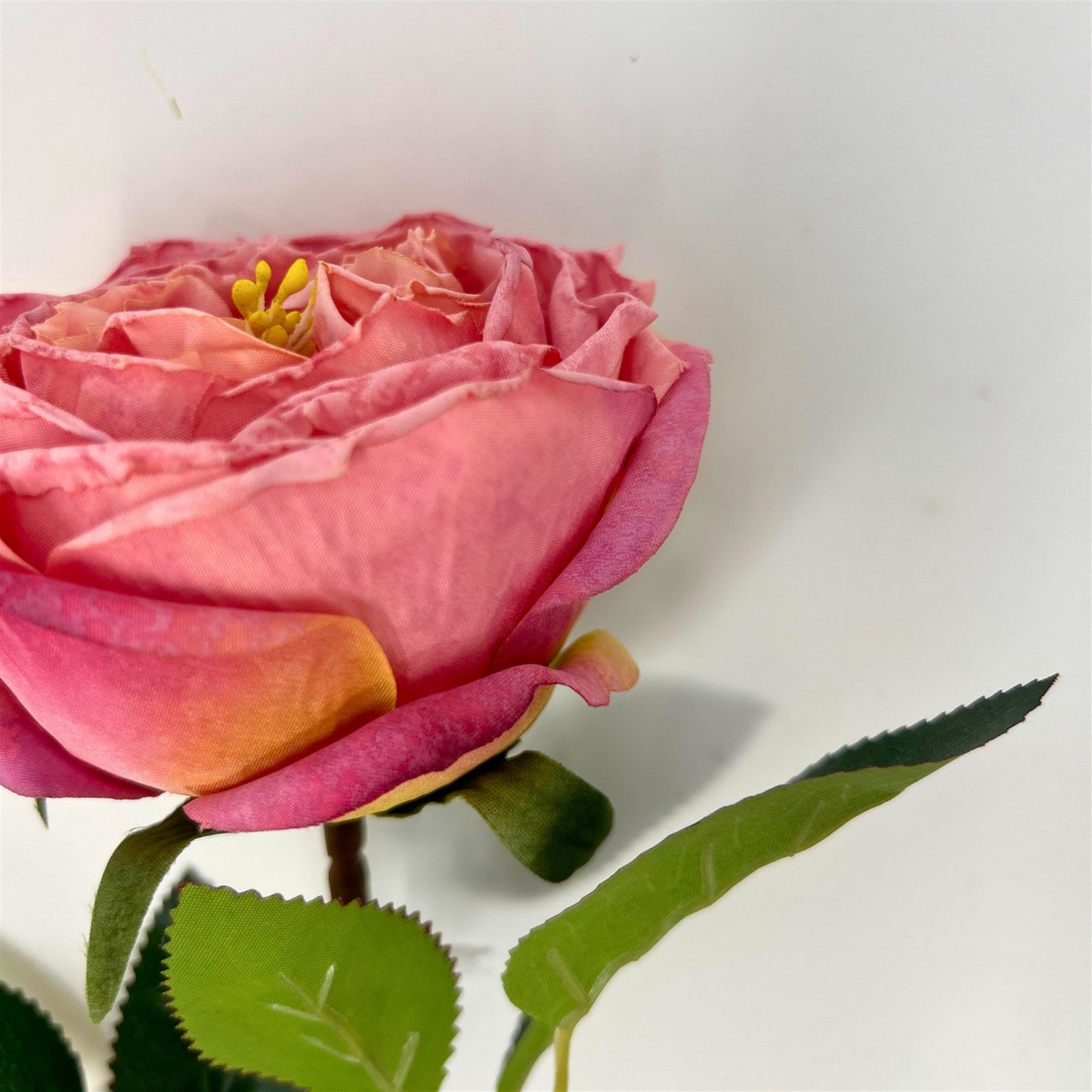 Windsor Rose Stem 24" - Mauve | GTE