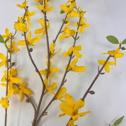 Forsythia Branch 40" - Yellow | GTE