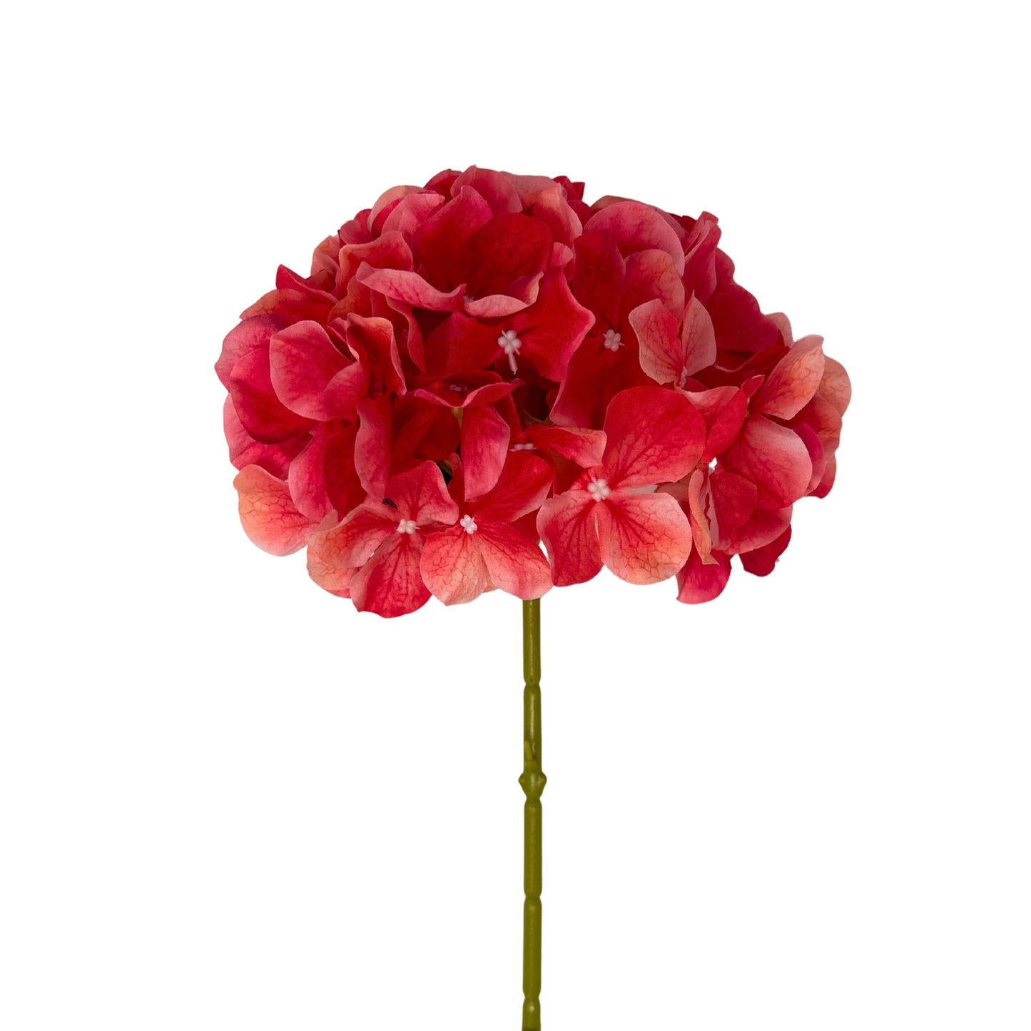Grand Southern Hydrangea Stem 18" - Pink Grapefruit | GTE