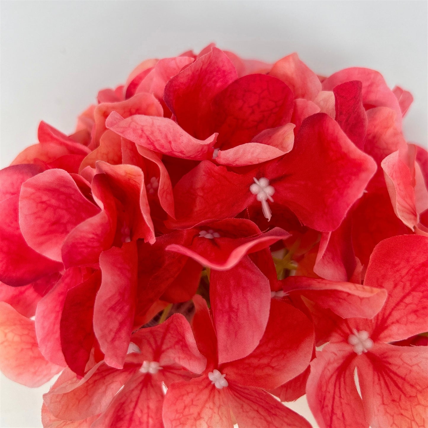 Grand Southern Hydrangea Stem 18" - Pink Grapefruit | GTE