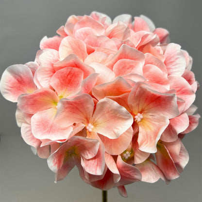 Grand Southern Hydrangea Stem 18" - Pink | GTE